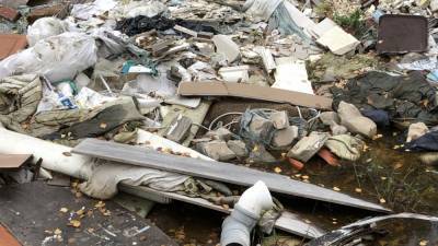 Жители Курской области нашли на местной свалке мешки с мертвыми птицами