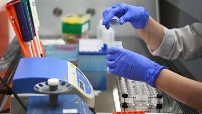 «В рамках молекулярно-генетического мониторинга»: в России выявлен южноафриканский штамм коронавируса