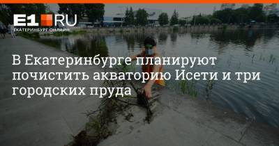 В Екатеринбурге планируют почистить акваторию Исети и три городских пруда