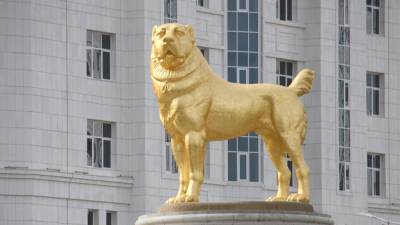В Туркмении парламент учредил звание Народного собаковода страны