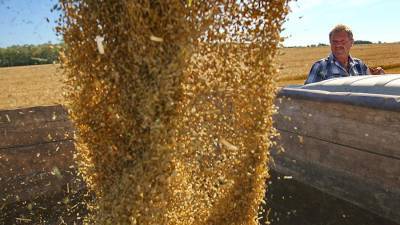 В Минсельхозе не исключили отказ от вмешательства в регулирование экспорта зерна