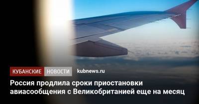 Россия продлила сроки приостановки авиасообщения с Великобританией еще на месяц
