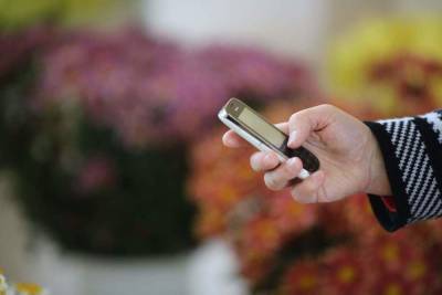 Жителей регионов РФ предупредили о новой схеме СМС-мошенников