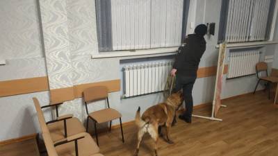 Минирование гимназии в Харькове: эвакуировали почти тысячу детей – видео