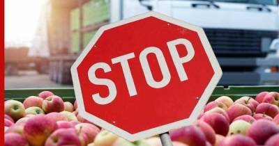 В Россию запретили ввоз яблок из Брестской области Белоруссии