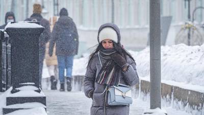 Синоптики предупредили о сохранении снежного покрова в Москве до апреля