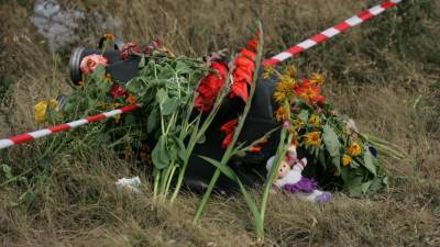 Эксперт рассказал о трех этапах спецоперации Запада с крушением MH17