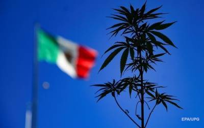 Главный рынок мира. Мексика легализовала марихуану