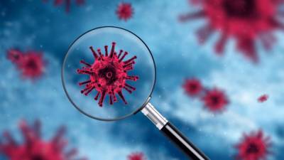 Подтверждена циркуляция британского штамма коронавируса в двух областях Украины
