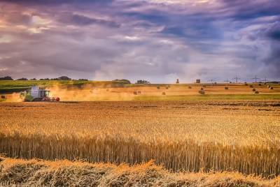 Свыше одного миллиона тонн зерна должно быть произведено в Нижегородской области в 2021 году