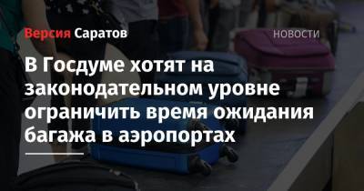 В Госдуме хотят на законодательном уровне ограничить время ожидания багажа в аэропортах