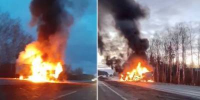 Лобовое столкновение на трассе М1: грузовик и микроавтобус сгорели, водители погибли