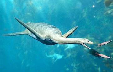 В Чили открыли новый вид плавающего динозавра