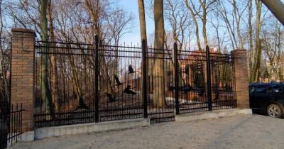 В Калининградском зоопарке заменили забор по ул. Руставели (фото)