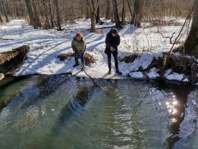 Вредных веществ в воронежской реке Усмань экологи не обнаружили