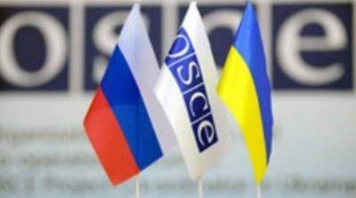 Украина в ТКГ попросила удалить из группы приглашенную Россией «экспертку»