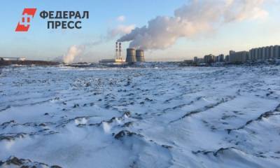 За стихийную свалку у Финского залива хотят наказать петербургских чиновников