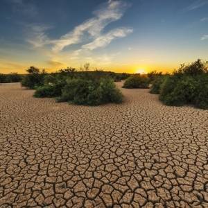 В Европе наблюдается высочайший уровень засухи за 2000 лет