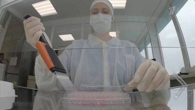 В России разработана новая тест-система для определения разных штаммов коронавируса