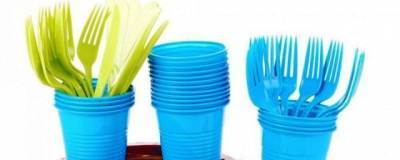 Вице-премьер предложила ввести запрет на пластиковую посуду в России