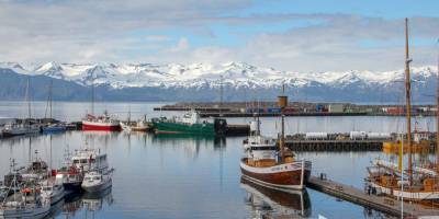 Без тестов и карантина. Исландия с 18 марта разрешит въезд в страну вакцинированным от COVID-19 туристам