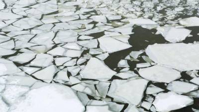 В Псковской области местный житель спас провалившихся под лед детей