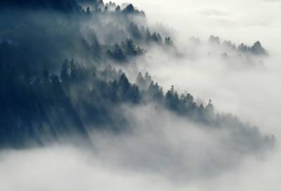 Спасатели предупреждают о тумане в Ленобласти