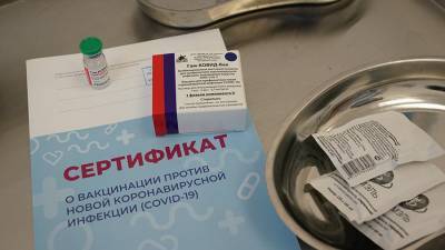 РФ будет отстаивать позицию по вопросу о паспортах вакцинации в ЕС