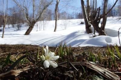 Весна в Оренбуржье начнется в середине апреля