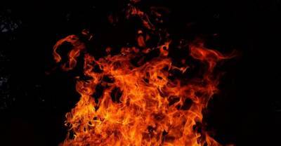Жительница Курской области попыталась заживо сжечь 8-летнего сына