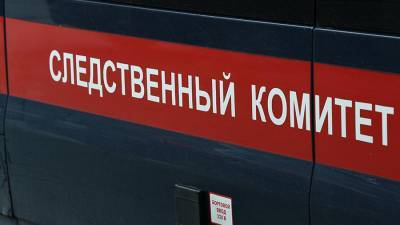 В Курской области скончался облитый бензином и подожженный матерью ребенок