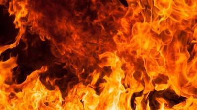 Жительница Курской области заживо сожгла восьмилетнего сына
