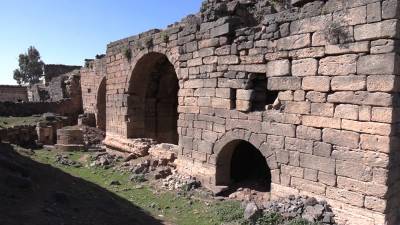 Россия помогла сохранить древнеримский амфитеатр в сирийской Босре