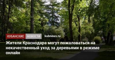Жители Краснодара могут пожаловаться на некачественный уход за деревьями в режиме онлайн