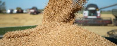 Минсельхоз РФ может отказаться от экспортных пошлин на зерно