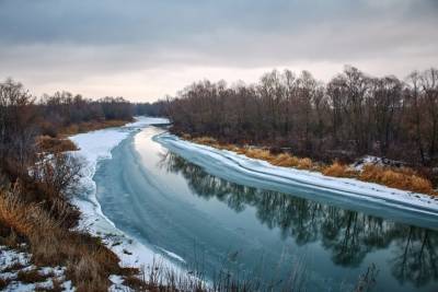 За сутки на сантиметр поднялся уровень воды в реках Лесной Воронеж и Савала