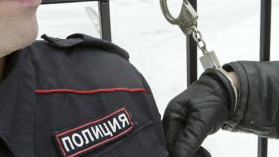 Жительница Красноярска собрала банду, чтобы ограбить близкую подругу