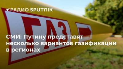 СМИ: Путину представят несколько вариантов газификации в регионах