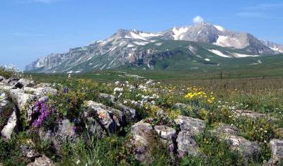 «Они обманули всех!» Правительство решило застроить биосферный заповедник на Кавказе