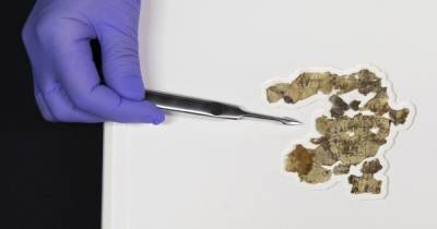 В Иудейской пустыне археологи нашли бронзовые монеты и библейские свитки, которым примерно две тысячи лет (5 фото)