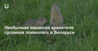 Необычная вакансия хранителя сусликов появилась в Беларуси