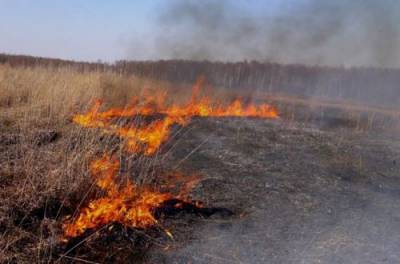 В Украине запретят выжигать траву: закон вступил в силу, но пока не работает