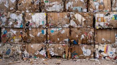 Петербург потратит 25 млн рублей для работы единого мусорного оператора