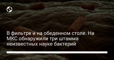 В фильтре и на обеденном столе. На МКС обнаружили три штамма неизвестных науке бактерий