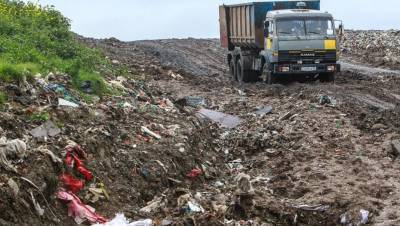 Новгородские власти опровергают информацию о мусоре из Петербурга