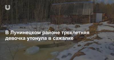 В Лунинецком районе трехлетняя девочка утонула в сажалке - news.tut.by - район Лунинецкий - район Кобринский