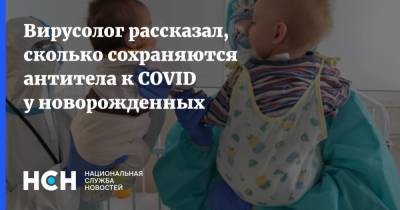Вирусолог рассказал, сколько сохраняются антитела к COVID у новорожденных