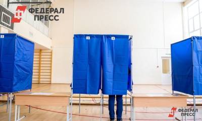 В Петербурге из-за технических проблем отказались от проведения электронного голосования