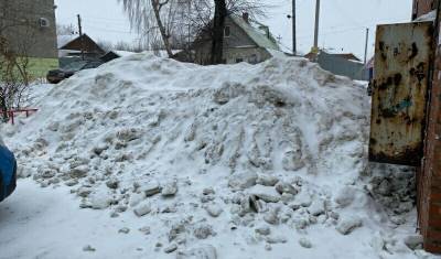 Челябинские пенсионеры скинулись чиновникам на лопаты для уборки снега