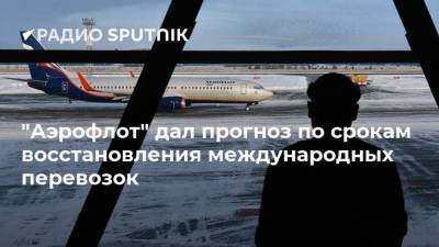 "Аэрофлот" дал прогноз по срокам восстановления международных перевозок